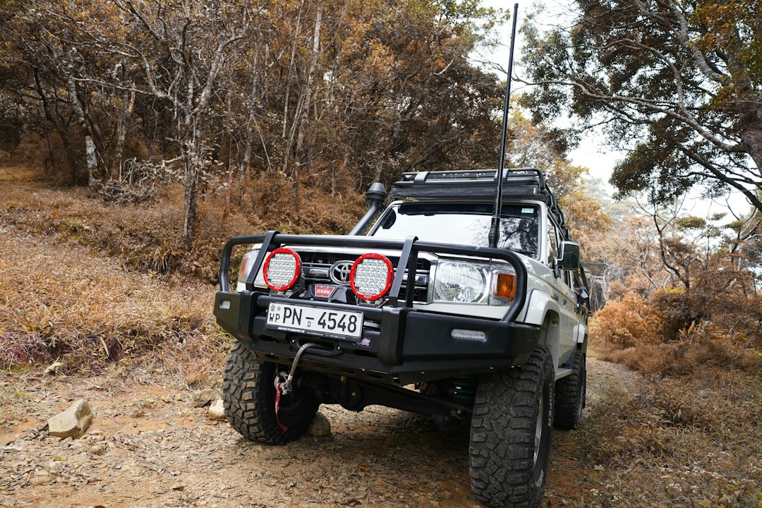 Off-road refrigeration and cooler solutions compared budget to premium hero image